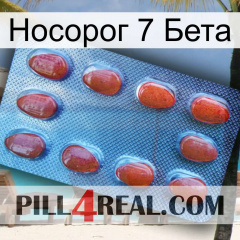 Носорог 7 Бета 06